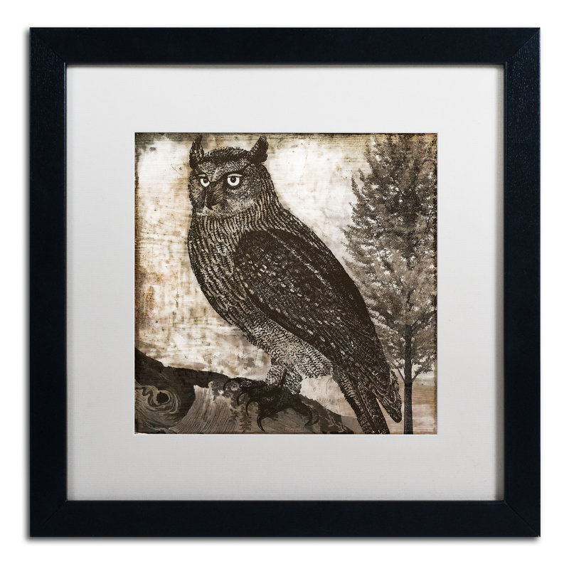 Jadaya «Owl 2» par Color Bakery, impression encadrée, Blanc, H 16 po x l 16 po x P 0,5 po