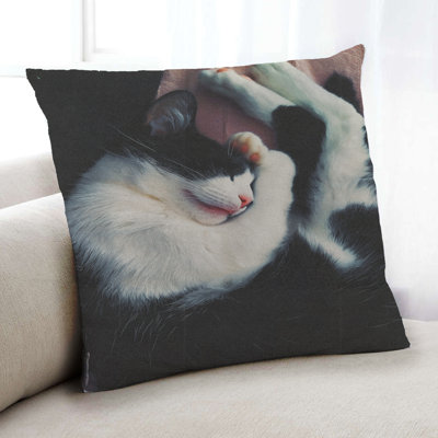 Throw Pillow