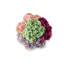 Arrangement fonctionnel Sedum Beauty