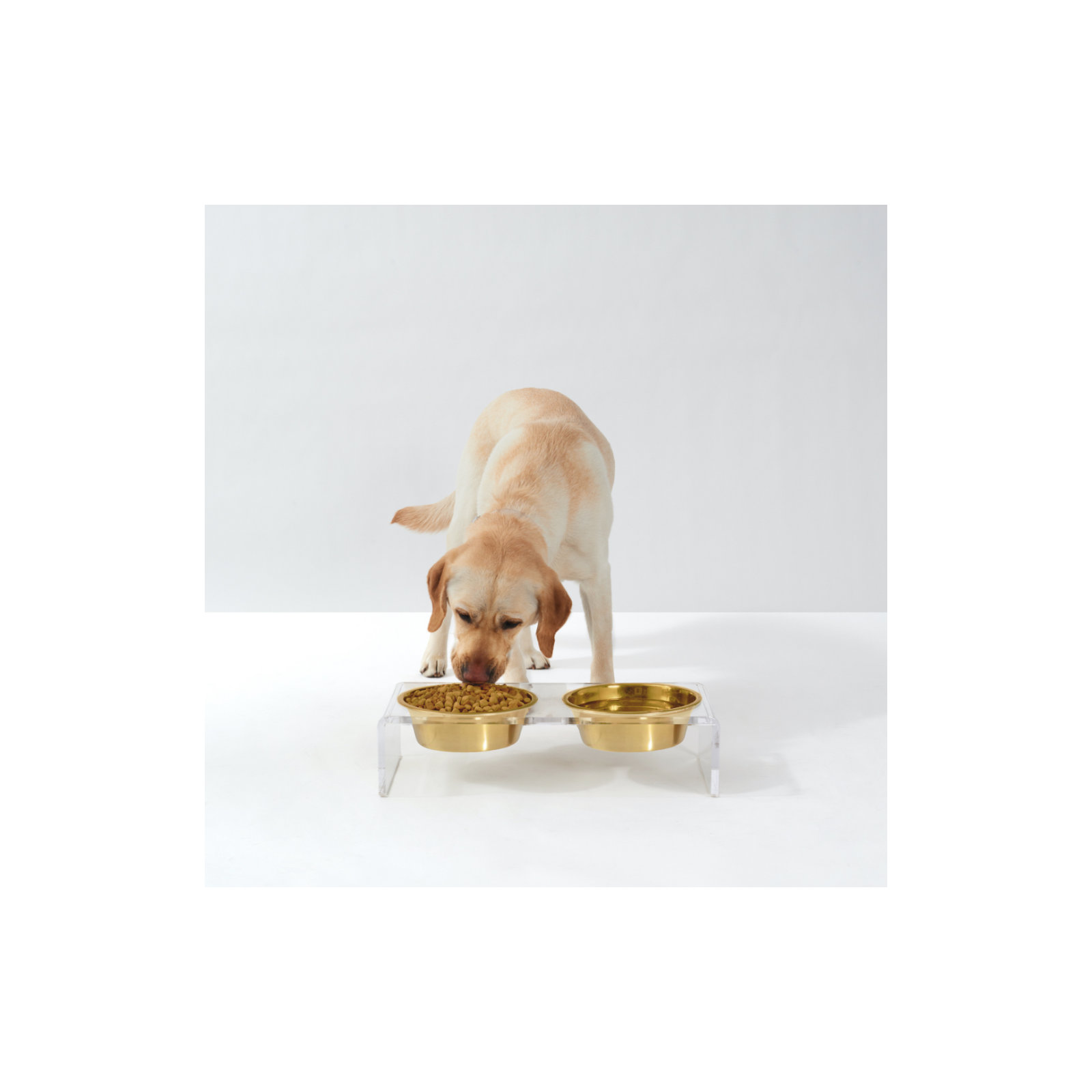 Small Clear Elevated Feeder with Gold Bowls, 3.5 cups