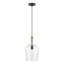 Luminaire suspendu en pot 1 lumière Vandeveer-493648731