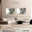 Cheval arabe monochromatique Brampt-108694055