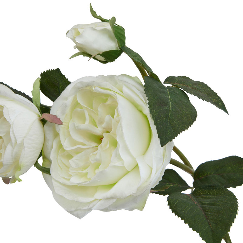 Anastasija Arrangement, White, 58 cm H x 10 cm W x 10 cm D