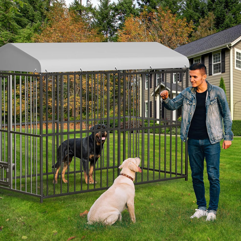 Grand chenil d'extérieur, cage pour chien robuste, H 6 po x l 10 po x P 10 po