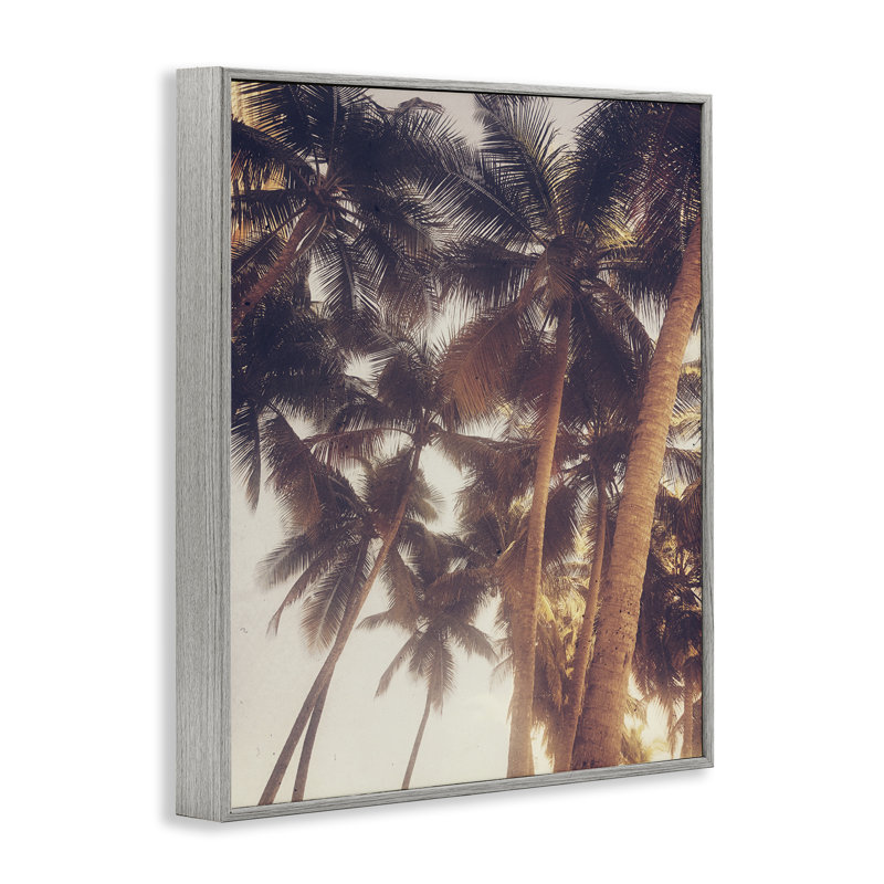 «Sunlit Palm Tree», estampe numérique encadrée par Acosta bf-019, Estampe numérique Farmhouse, H 30 po x l 24 po