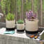 Pot Planter