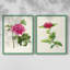 Impression encadrée PrettyPinkBotanicalsI-Premium - prête à être accrochée - aucun clou requis - aucun clou requis-1909328009-1909328020