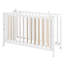 Side bed, folding bed Fold Up-24424738