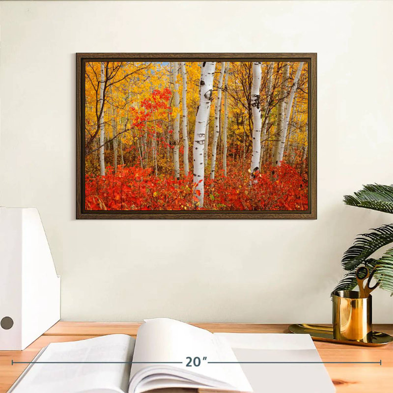Bouleaux d'automne, 13 po x 9 po, Cadre flottant noyer