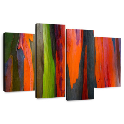 Avery Rainbow Eucalyptus Bark Closeup
