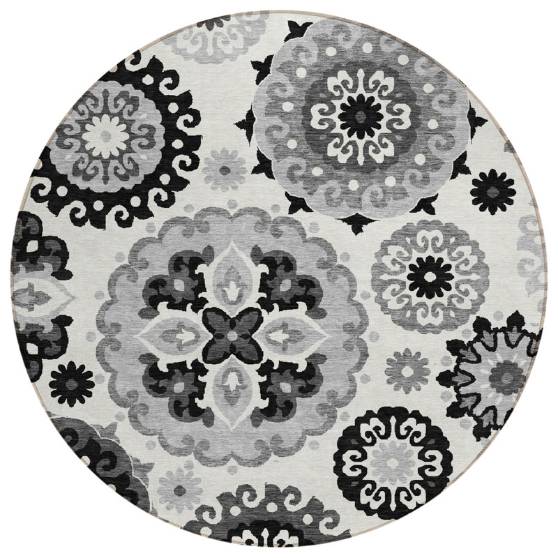 Tapis intérieur lavable 8 pi