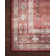 Jujhar Oriental Indoor Rug