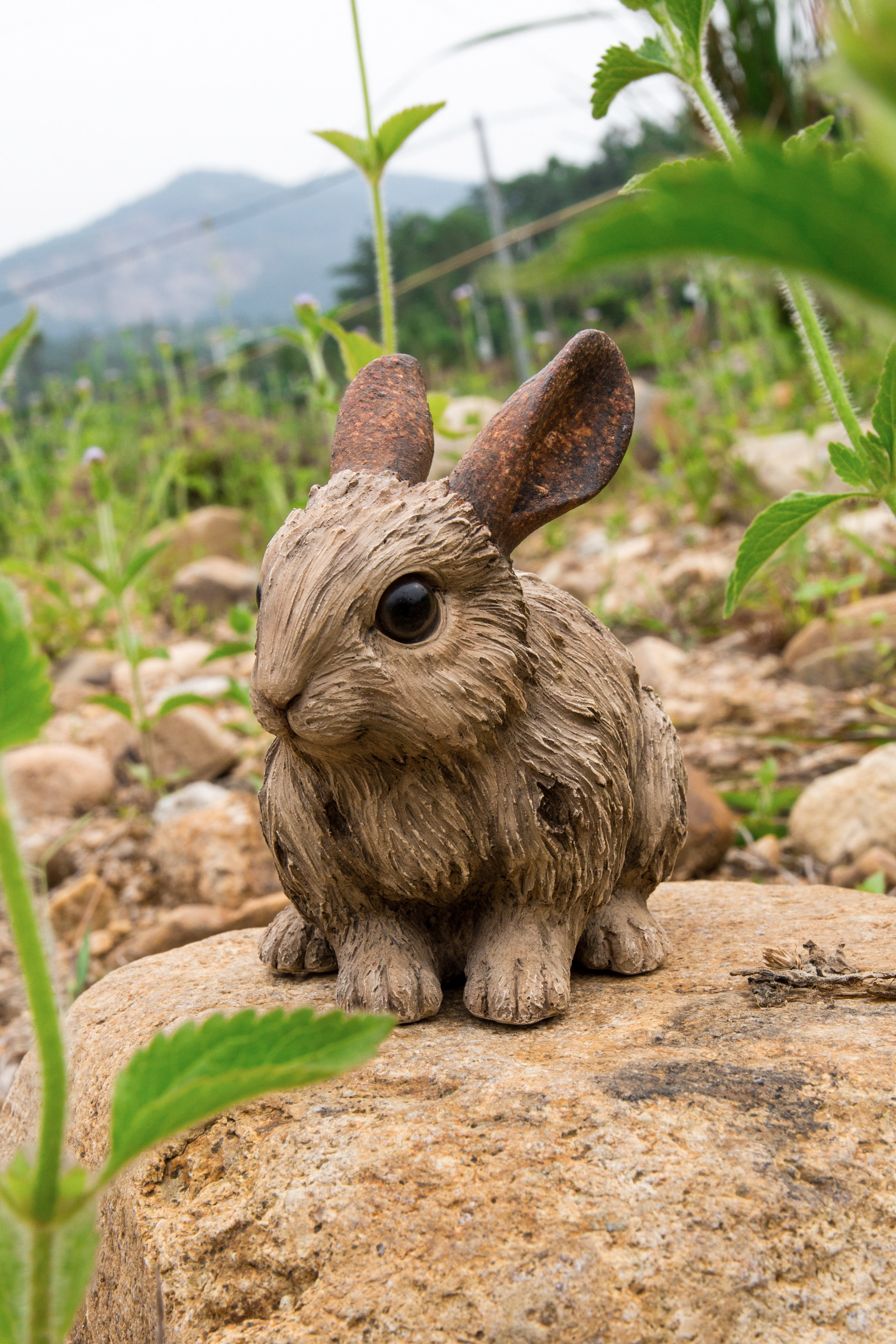 Hi-Line Gift Ltd. Driftwood Rabbit Statue & Reviews - Wayfair Canada