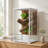 24 in. x 18 in. x 36 in. Glass and Plastic Reptile Terrarium