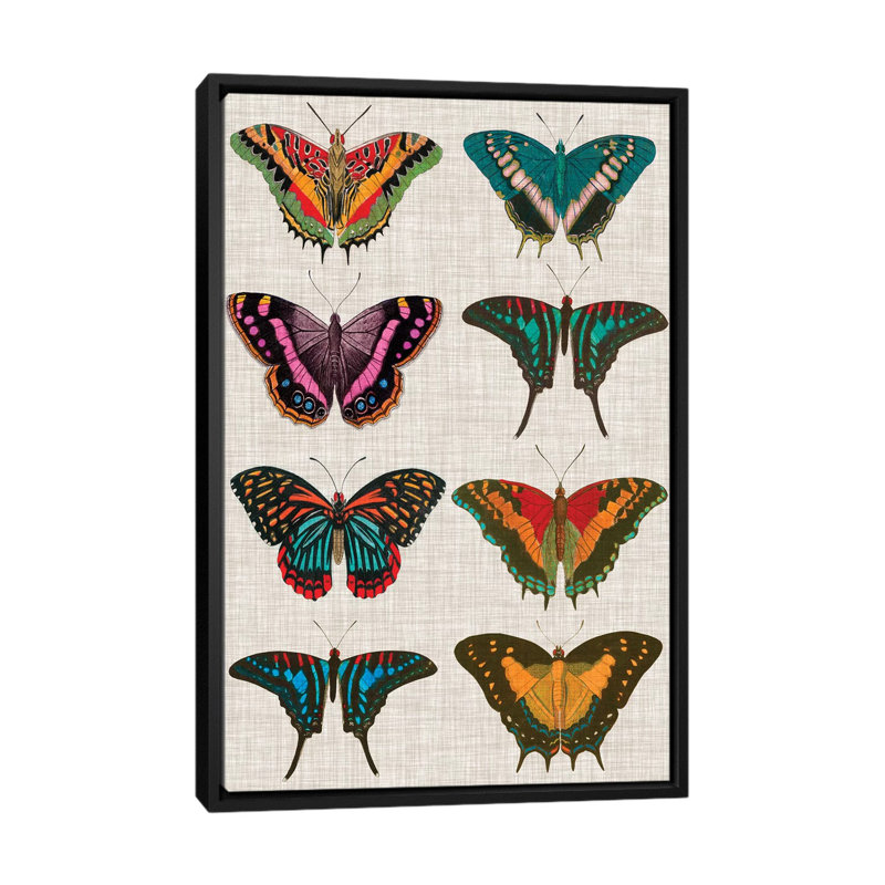 Polychrome Butterflies II by Vision Studio - Print, 26" H x 18" W x 1.5" D, Black Framed Canvas, No Matte