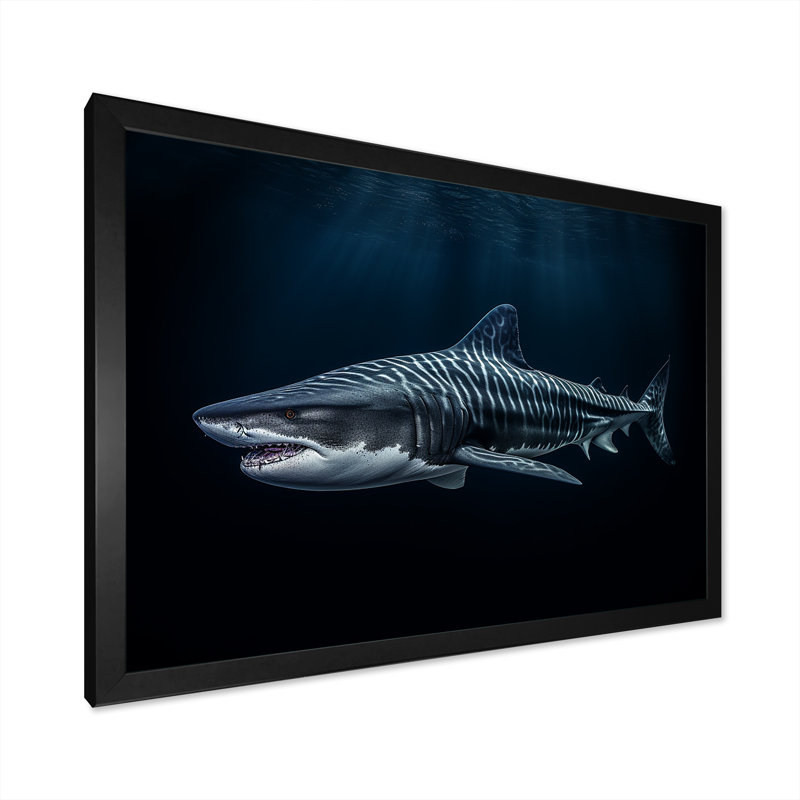 " Tiger Shark Territory II ", 12" H x 20" W x 1" D, Black Single Picture Framed