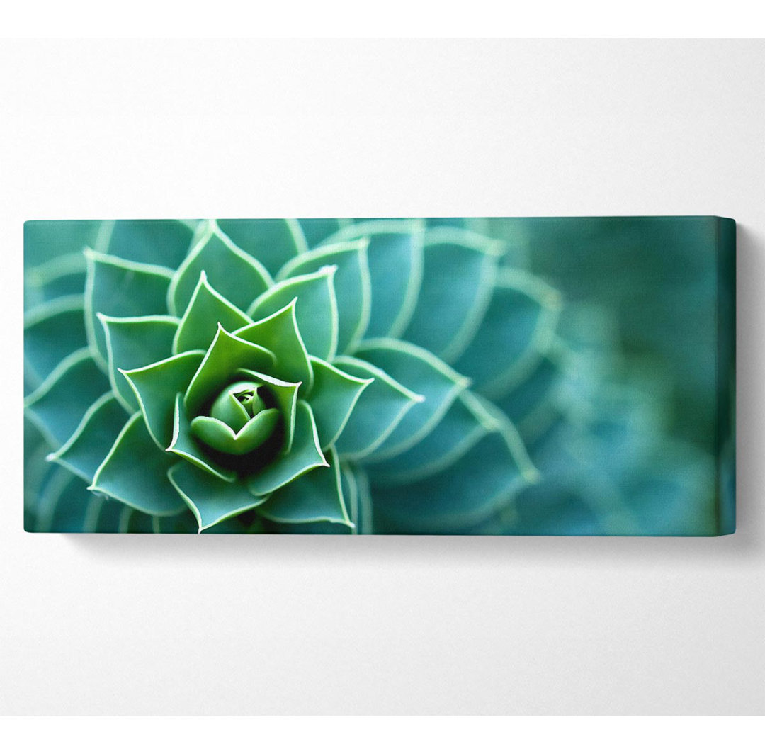 Beautiful Plant - Kunstdrucke auf Leinwand