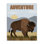 Adventure Nature & Bison Canvas Wall Art by Jo Taylor