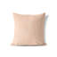 Coussin décoratif Tess-108049618-108049608