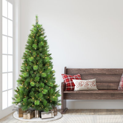78' Lighted Pine Christmas Tree