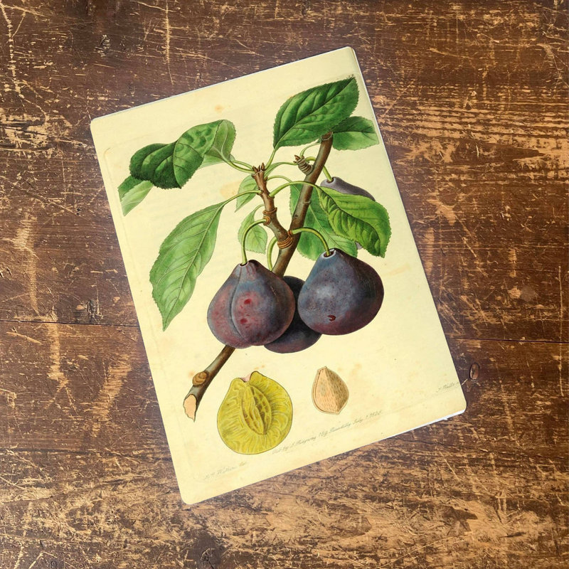 Plants & Flowers Wall Decor on Metal, 20cm H x 15cm W