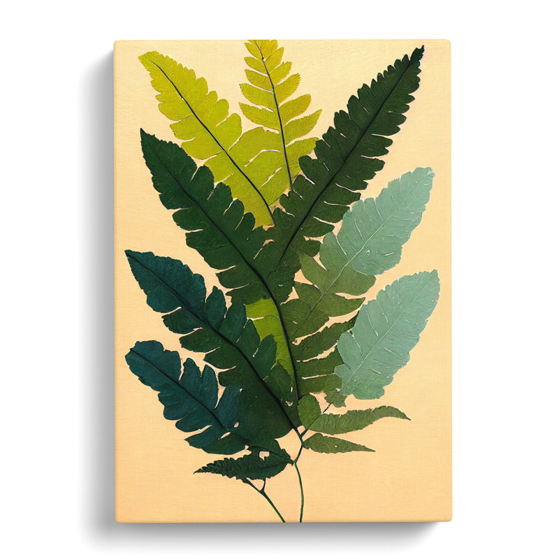 Strawbridge Fern Leaf Layers Vol.2 - Wrapped Canvas, 50cm H x 35cm W x 3cm D