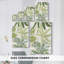 Toile tendue tropicale avec graffiti tropical - prêt à accrocher-593066718