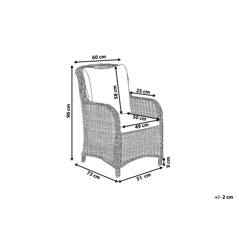 Dibella Patio Dining Armchair with Cushion