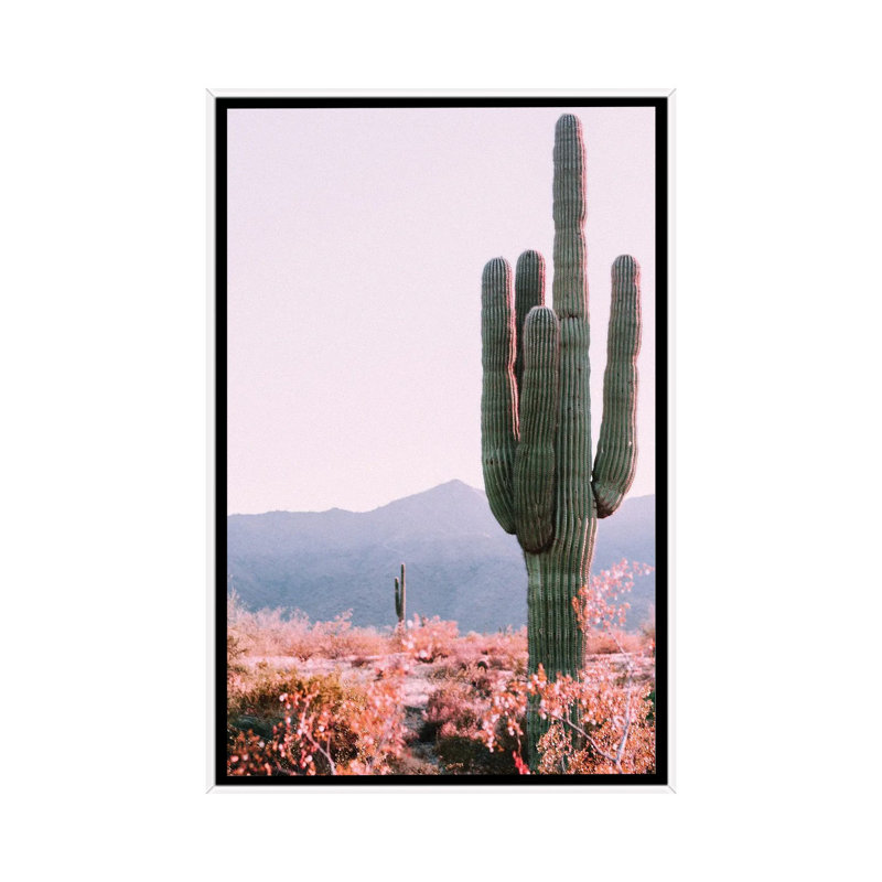 Cactus du désert - reproduction de photo, Toile blanche encadrée, Pas de tapis, H 26 po x l 18 po x 1,5 po
