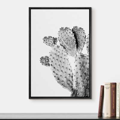 " Flat Cactus With Buds "