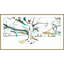 Audubon 1 Print-2062490935