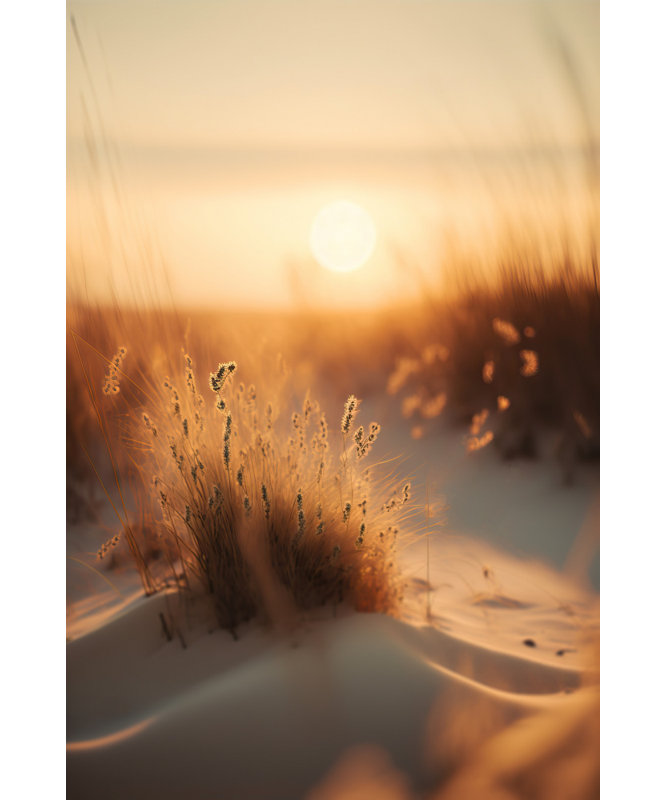 Wrapped Canvas Print, 91.44cm H x 60.96cm W