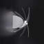 Fly 1-Light Armed Sconce