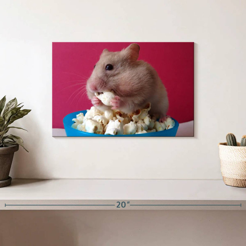 Ketti Hamster Eating Popcorn, 8" H x 12" W
