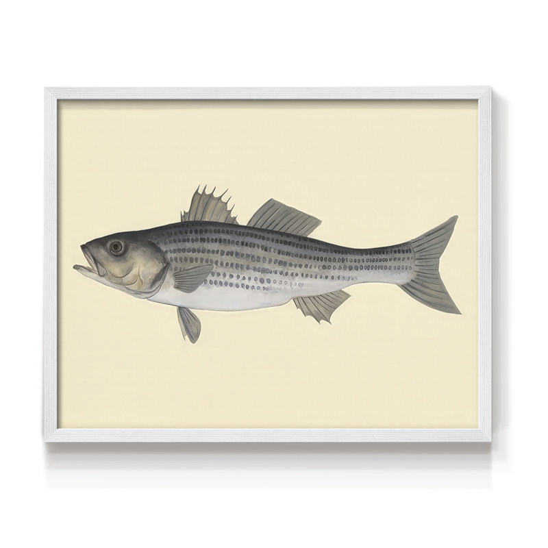 Saltwater Species I -Framed Print - Restickable, H 16 po x l 20 po, Blanc