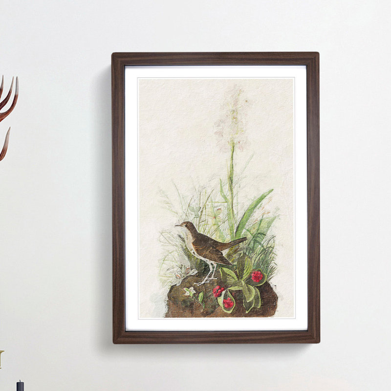 Tawny Thrush by John James Audubon - Picture Frame Painting Print, 65cm H x 48cm W x 2cm D, Walnut Framed
