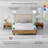 Cool & Crisp Open Stock 2 Piece 100% Cotton Guest Room Fitted Sheet Case Pack-106713525-106713523