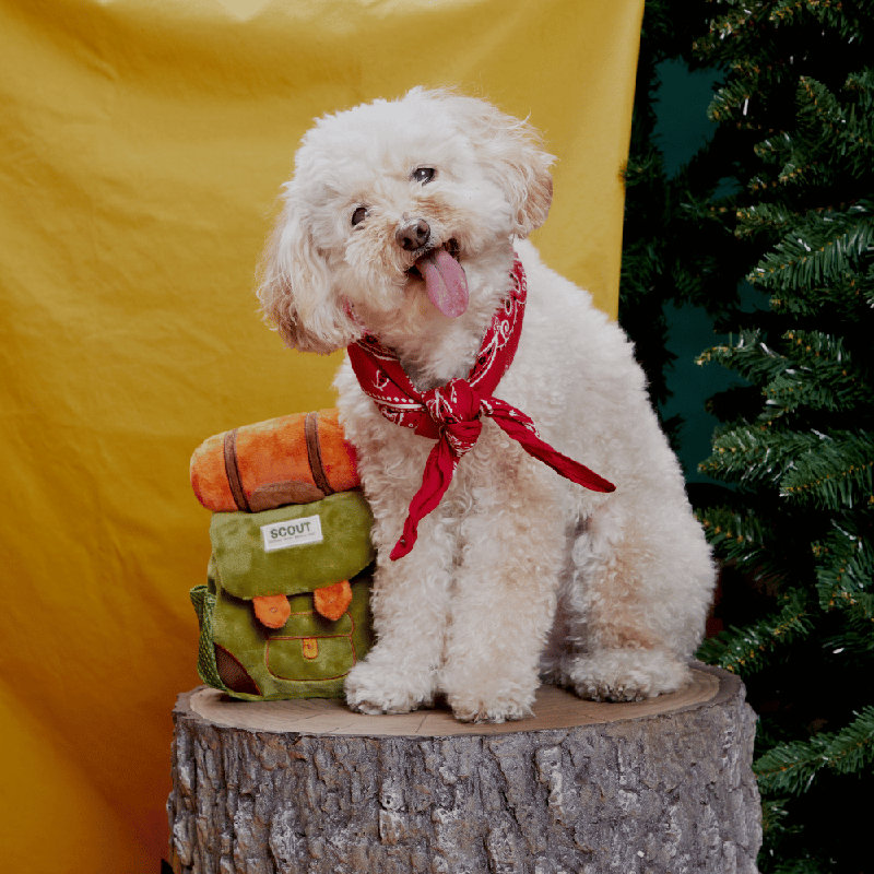 The Grrreat Outdoors Accessories