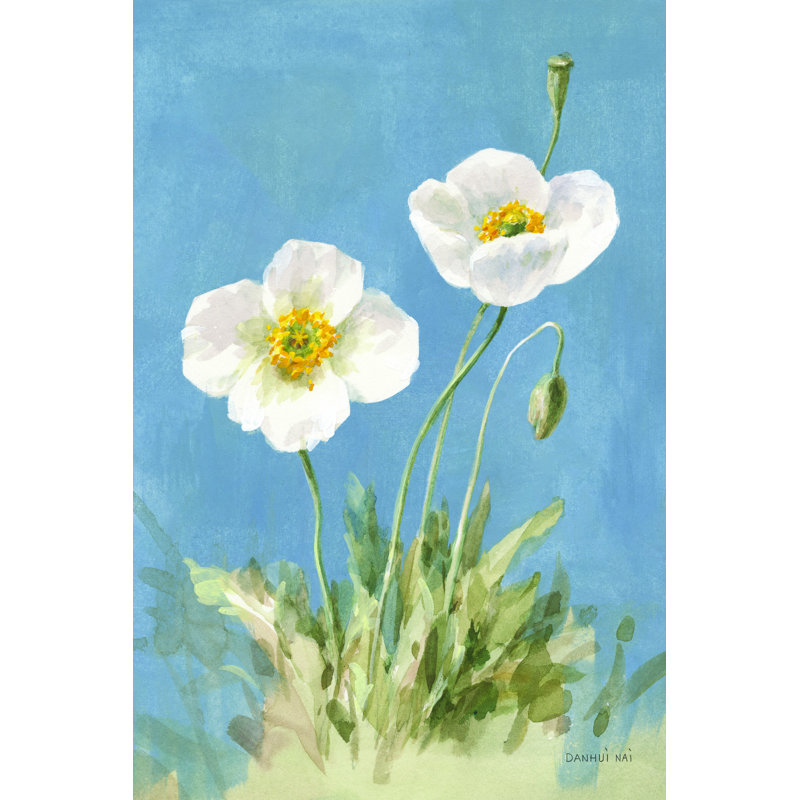 Coquelicots blancs I No Butterfly, H 30 po x l 20 po