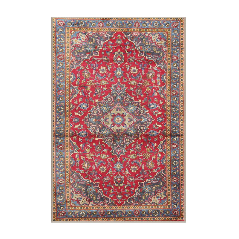 Jasleen Oriental Indoor Rug, Rectangle 2' x 4'