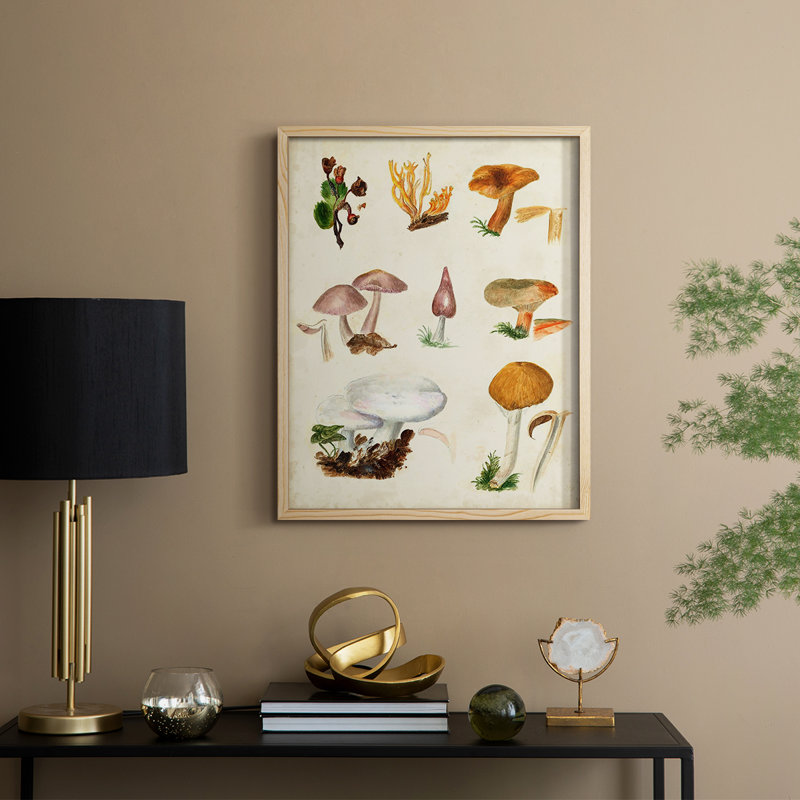 «Mushroom Species VI», reproduction encadrée - bois massif, H 11 po x l 9 po