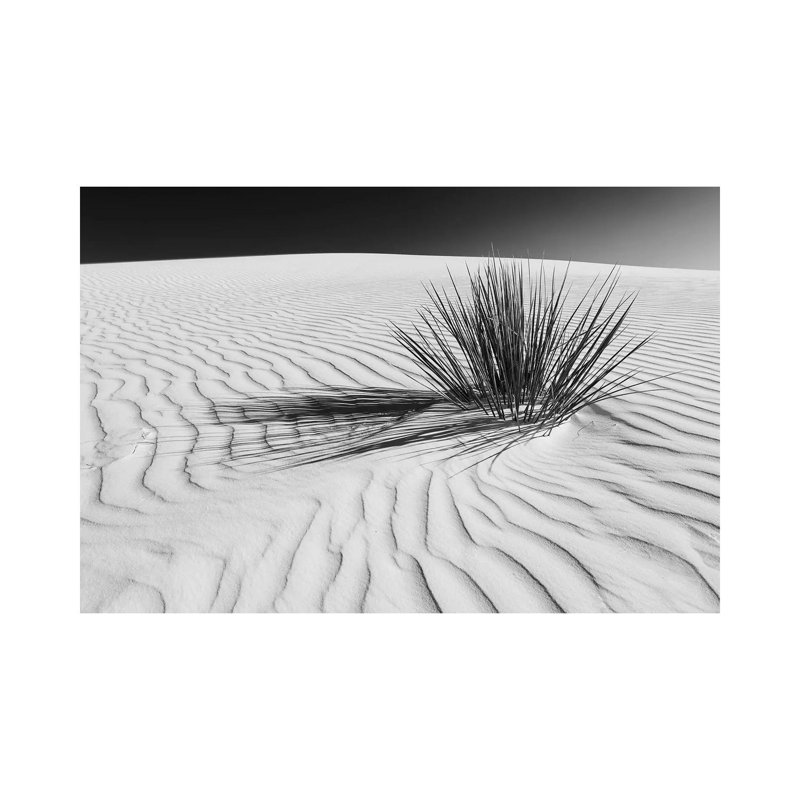 «White Sands Scenery in Black and White» par Melanie Viola - photographie sur toile tendue, H 12 po x l 18 po x 1,5 po