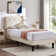 Auxter Adjustable Upholstered Head Height Bed Frame