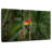 Brampt Wild Scarlet Macaw-107860992