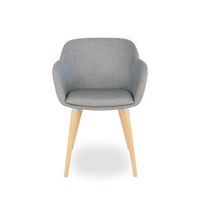 Oquawka 43cm H Velvet Upholstered Armchair