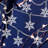 72'' in. Preserved Garland