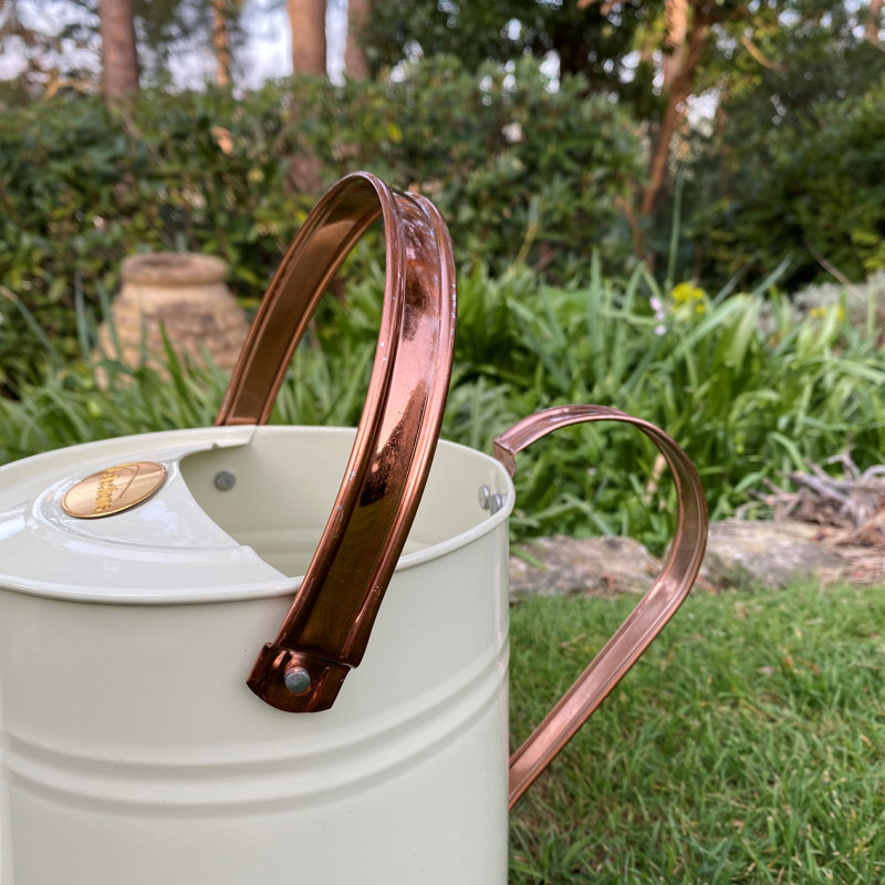 Metal Watering Can