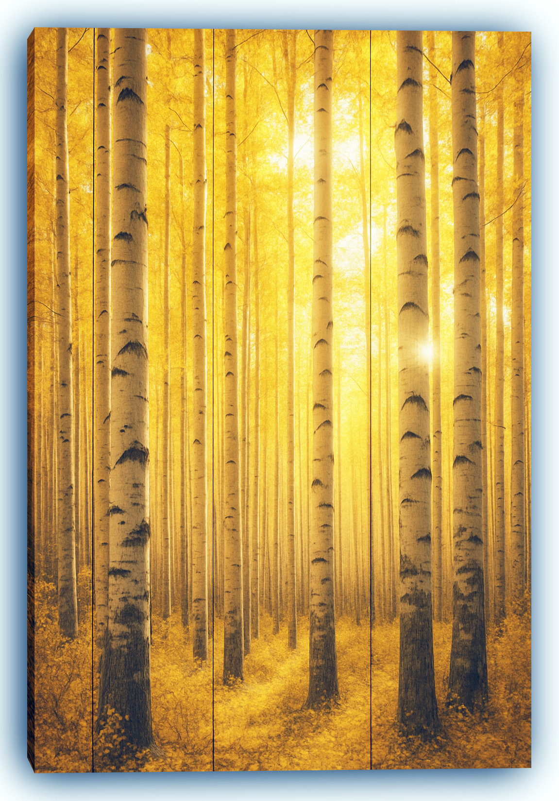 Millwood Pines Golden Birch Grove – Radiant Autumn Canvas Wall Art ...