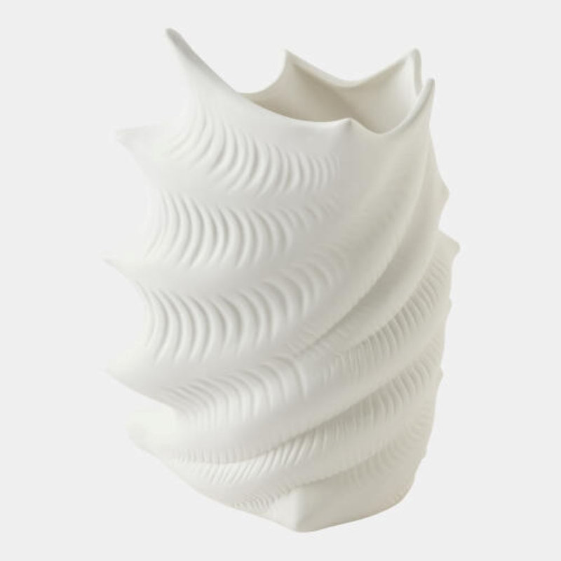 Fantastic Shell Jar, 13" H x 7" W x 8" D