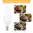 8 Watt LED Non-Dimmable Light Bulb E12/Candelabra